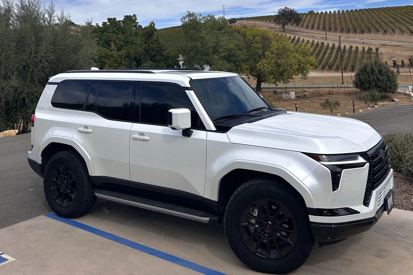 White SUV parked above vineyard hillsides and olive trees at a Paso Robles winery