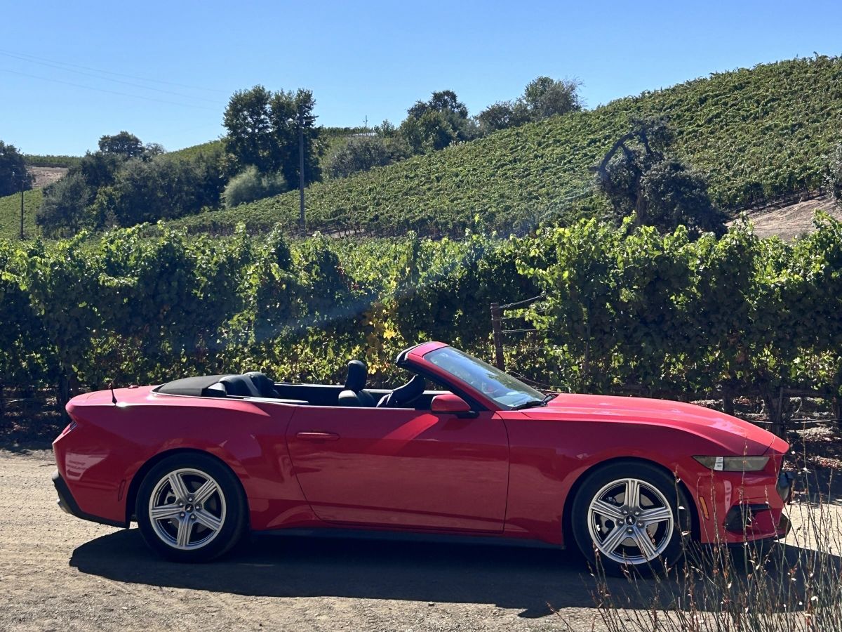 Red Ford Mustang convertible parked beside vineyard rows in Amador County, an example of the guest's own vehicle a Destination Drivers driver takes on a wine tour